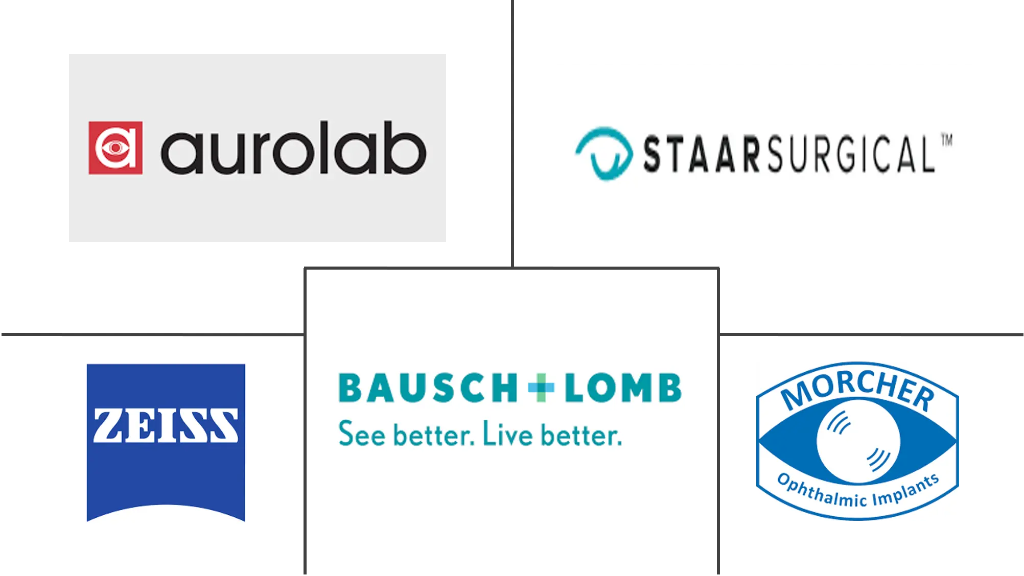 眼窝植入物市场规模