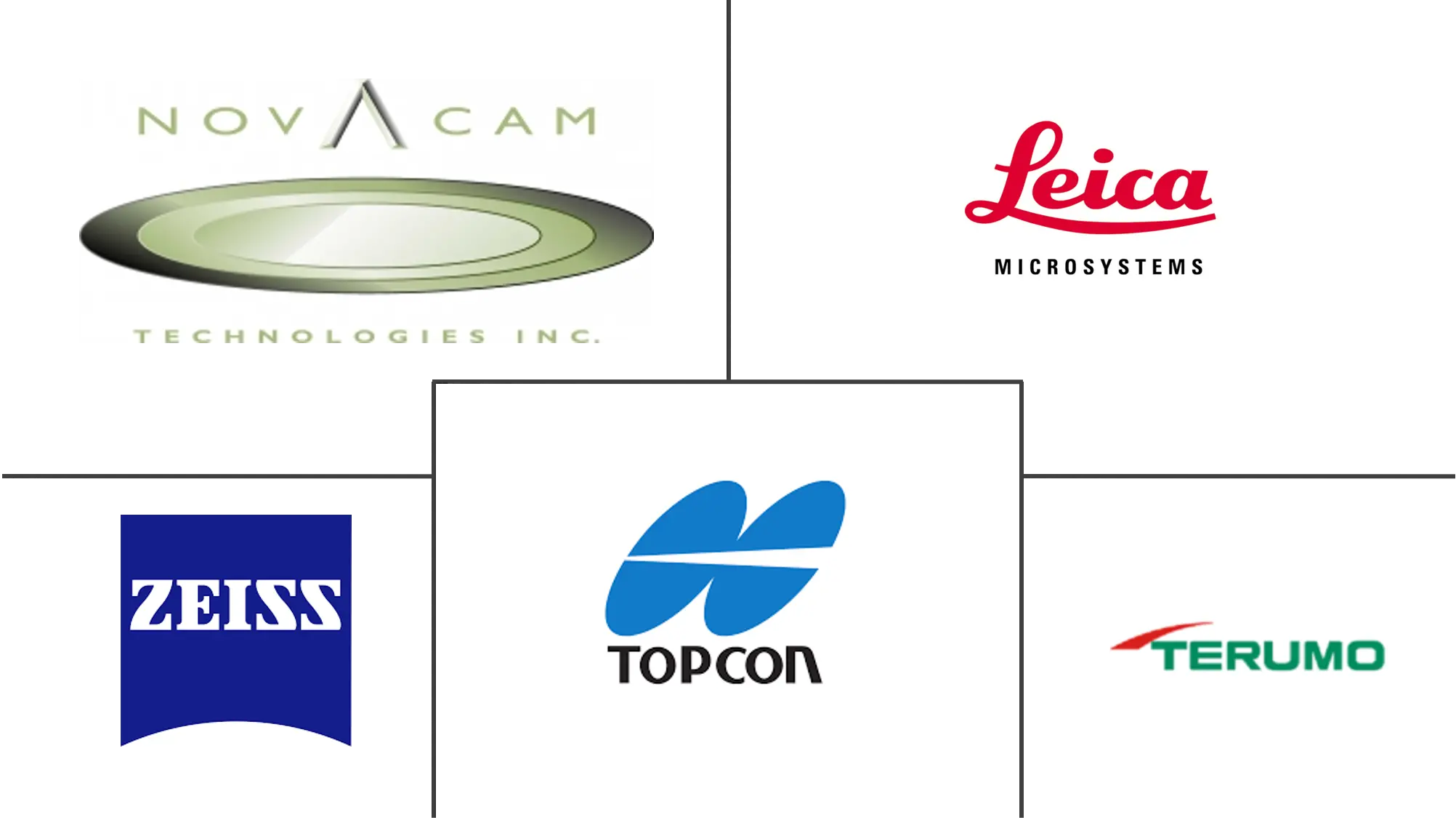 全球光学相干断层扫描市场规模及份额