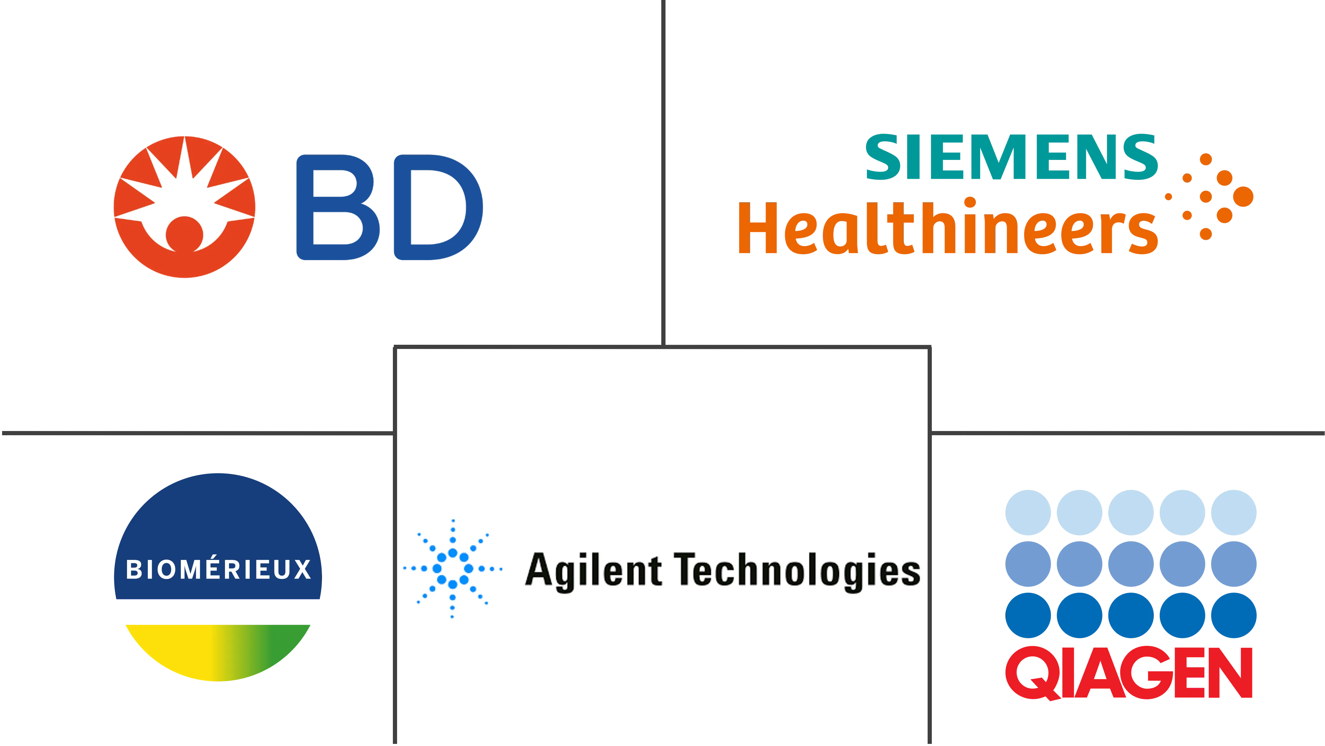 精准诊断市场规模