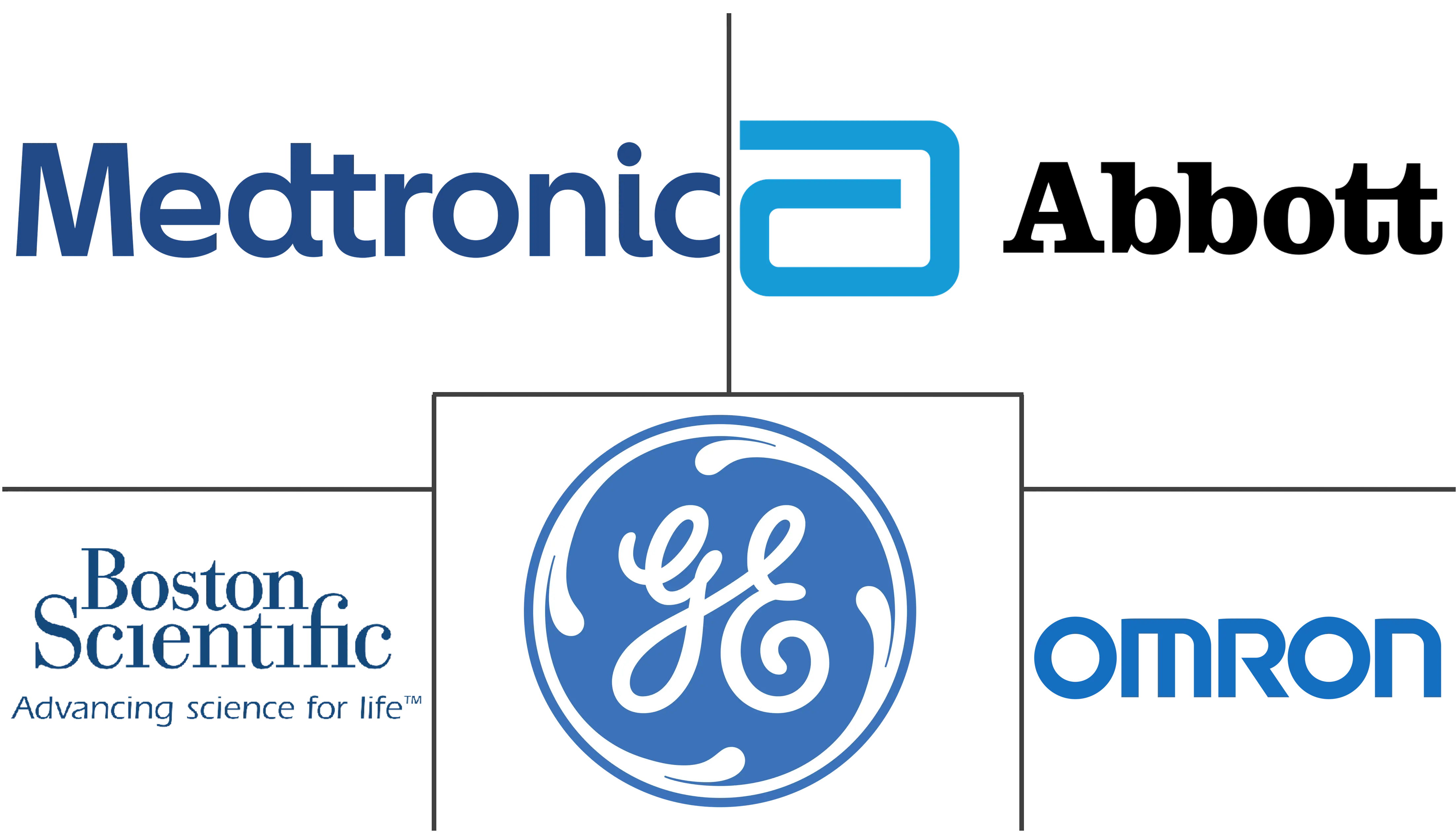 南美洲远程患者监护系统市场规模和份额分析