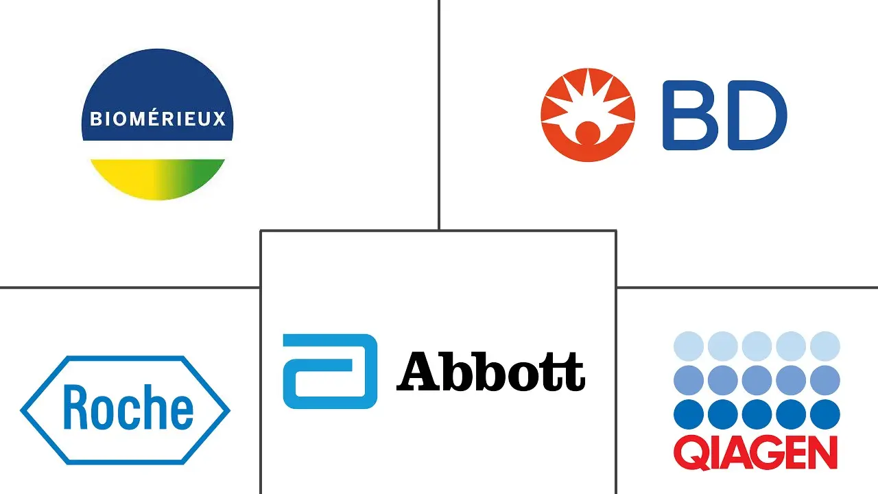 德国体外诊断市场规模和份额分析