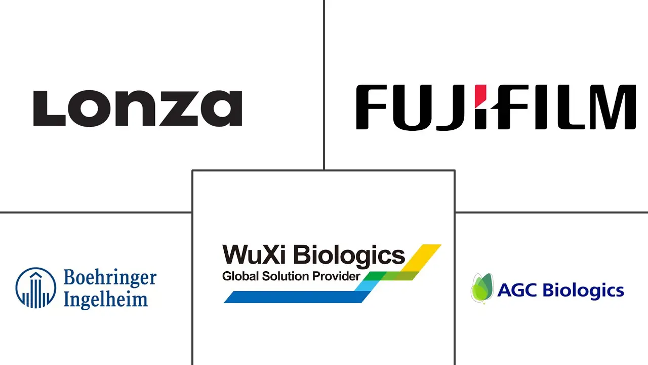 GMP 蛋白大肠杆菌合同制造市场规模和份额