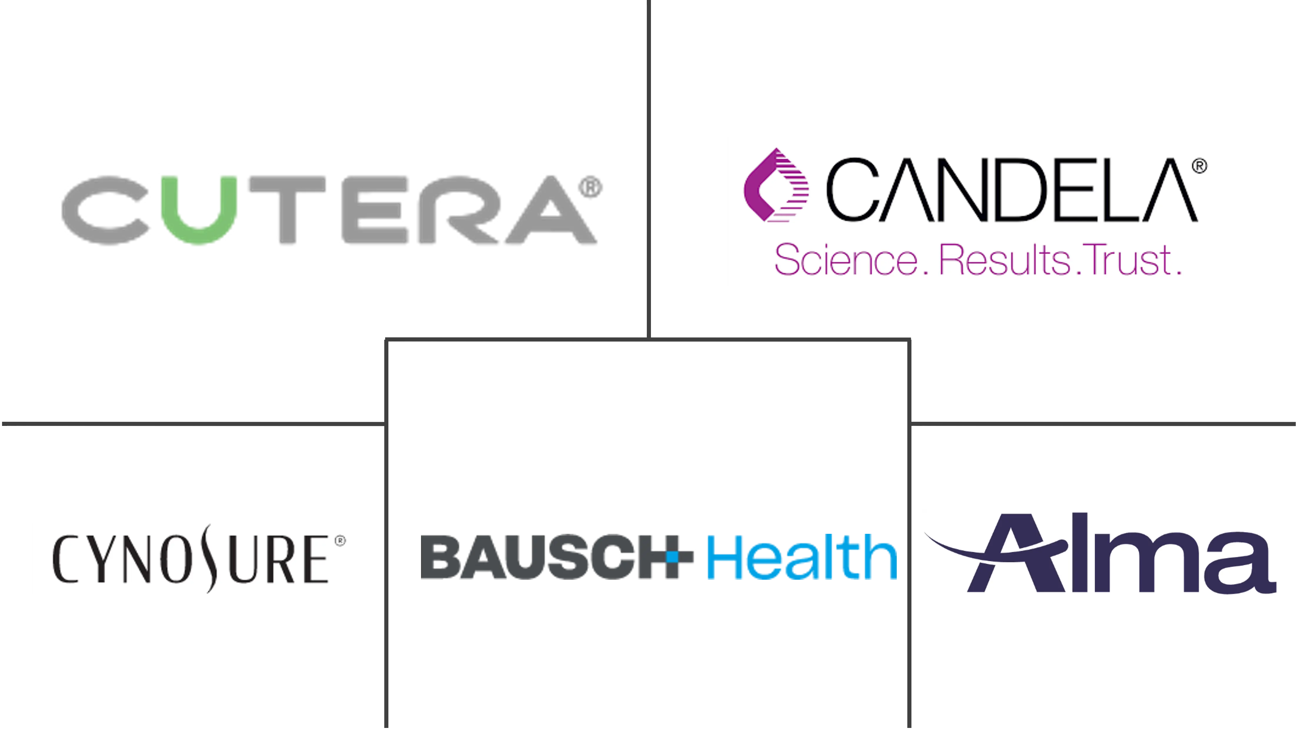 无创减脂市场规模和份额