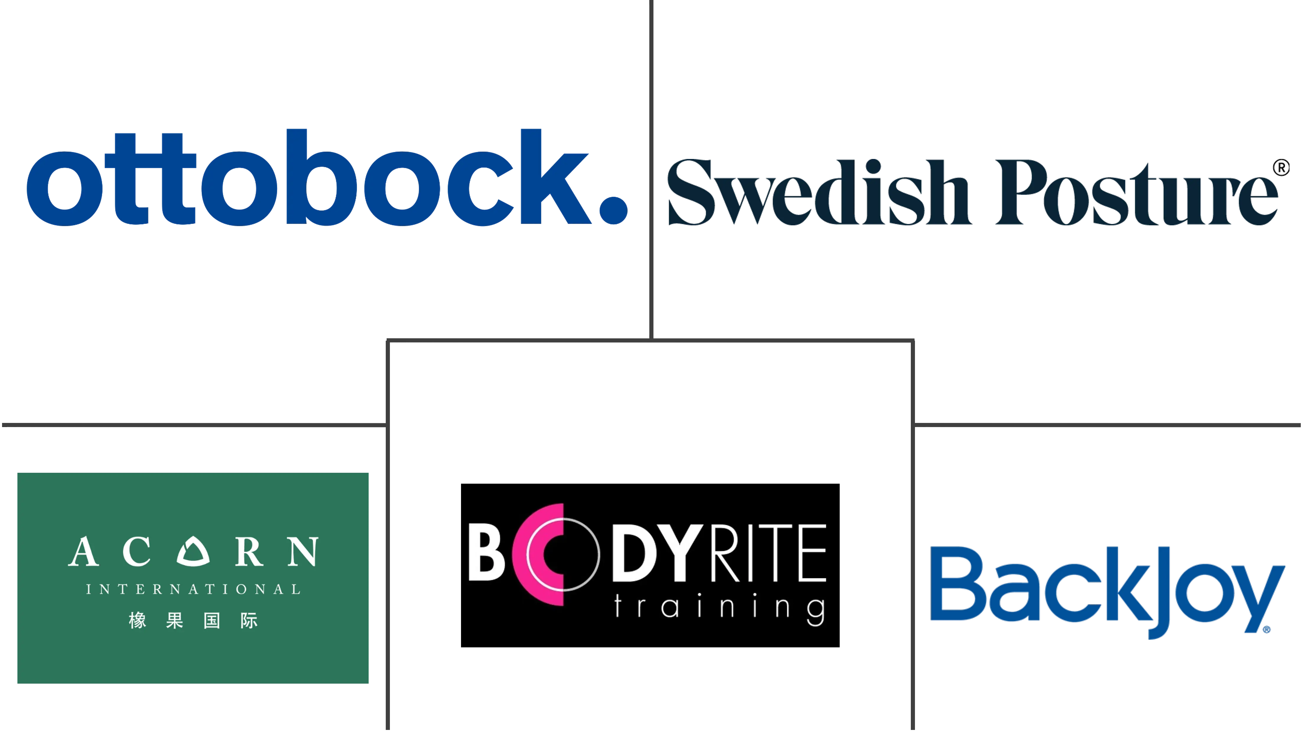 姿势矫正器市场规模