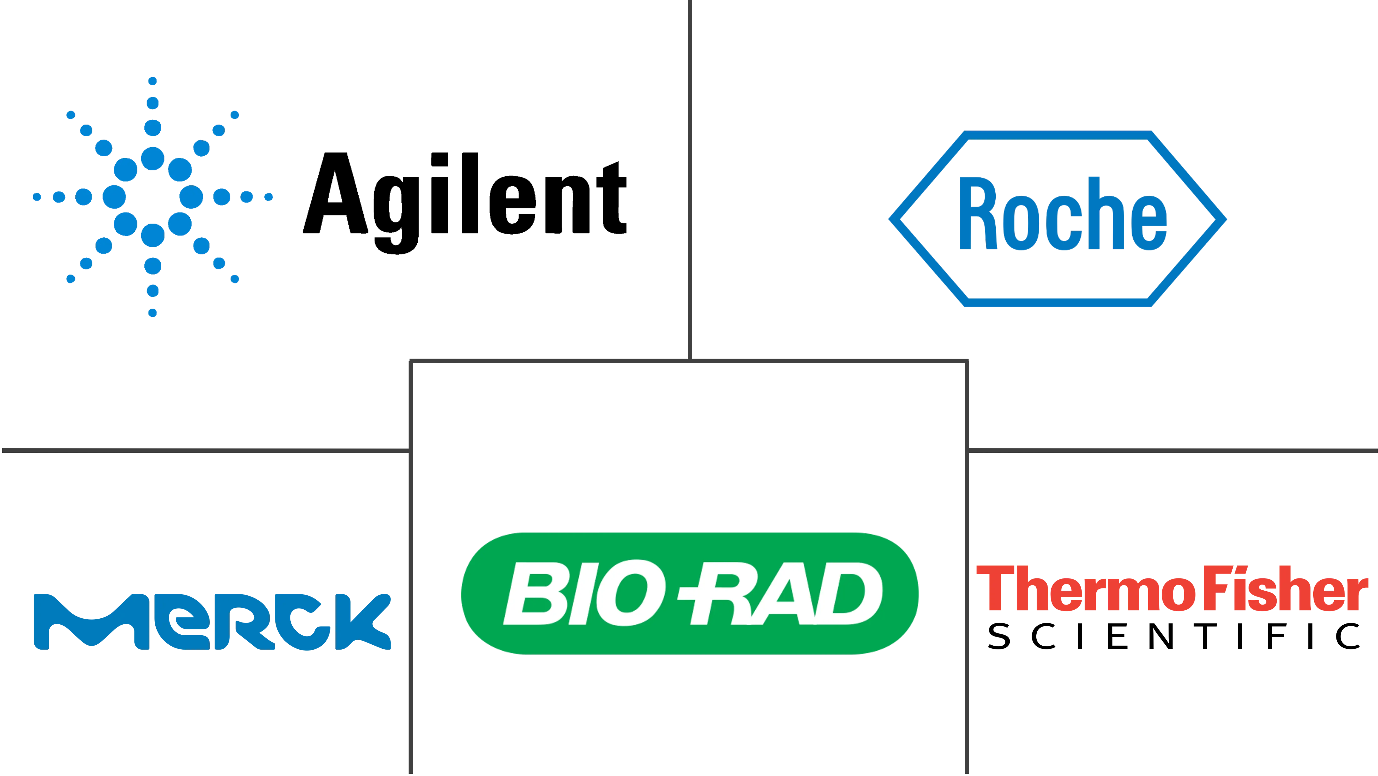 核酸分离、定量和纯化市场规模和份额分析