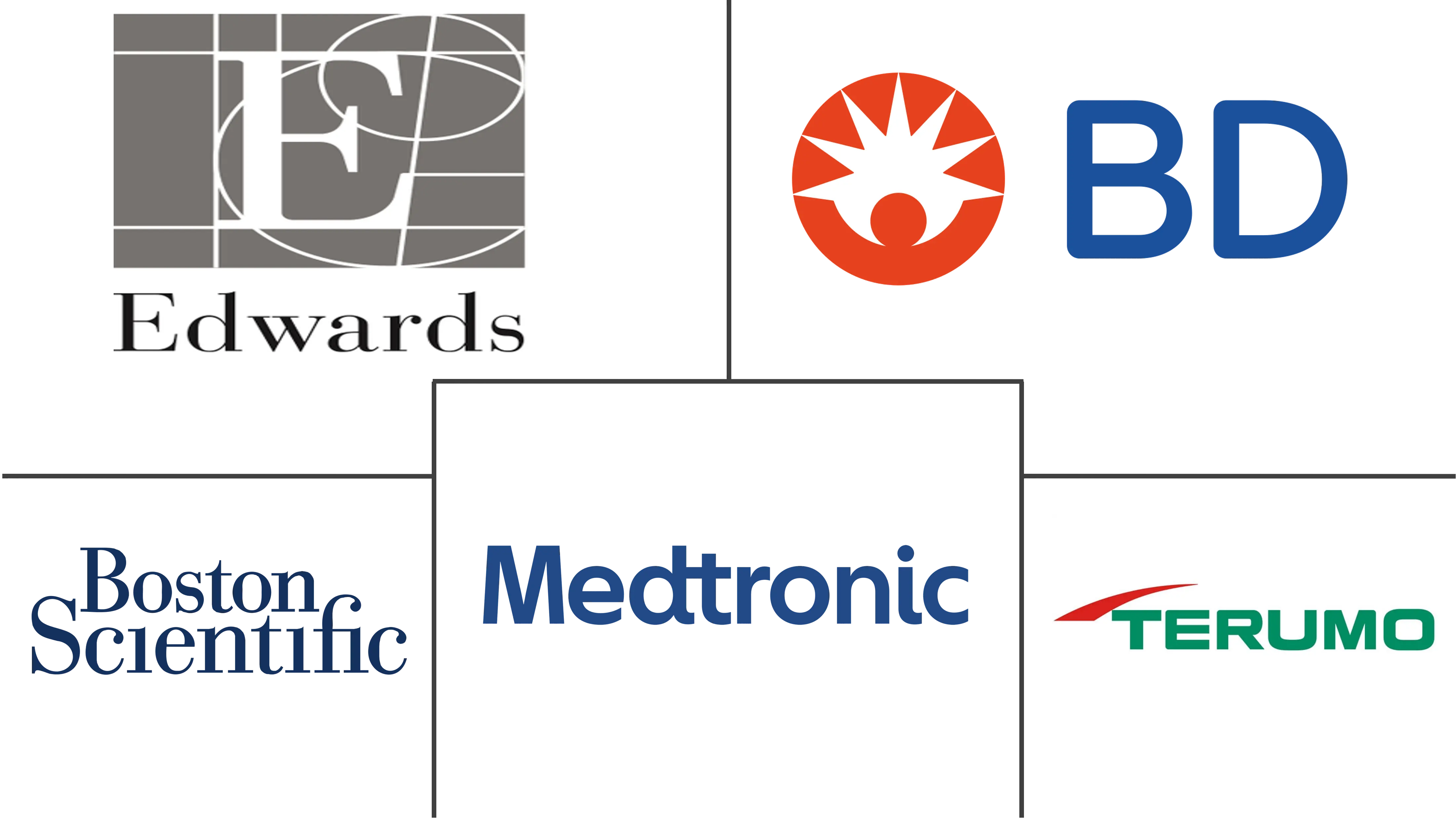 经桡动脉接入市场规模