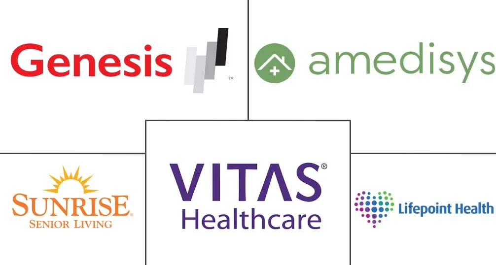 姑息治疗市场规模和份额