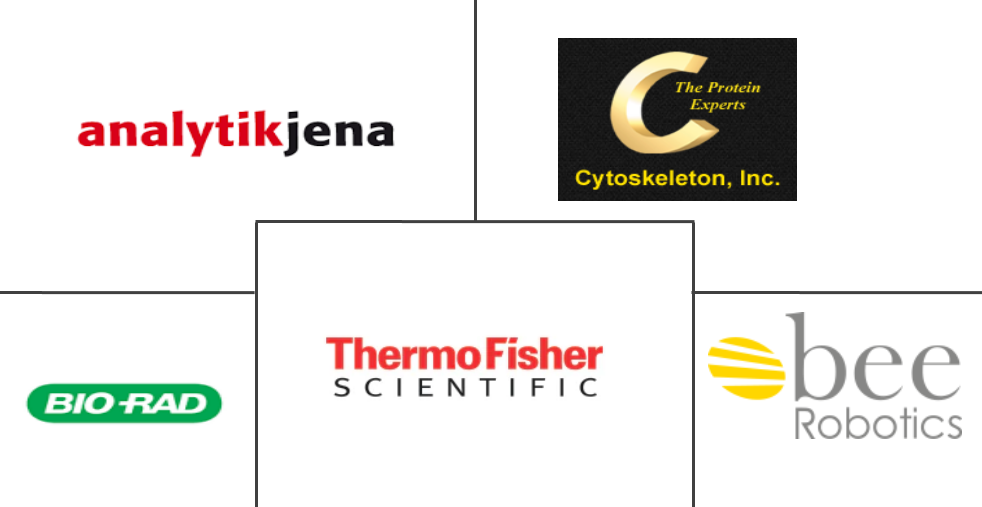 蛋白质印迹处理器市场规模
