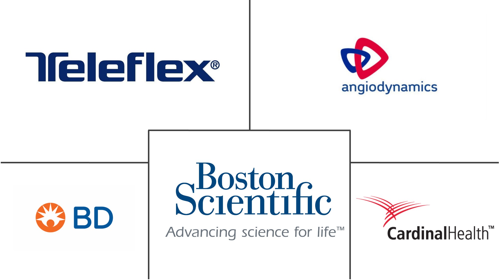 肾病支架和导管市场规模