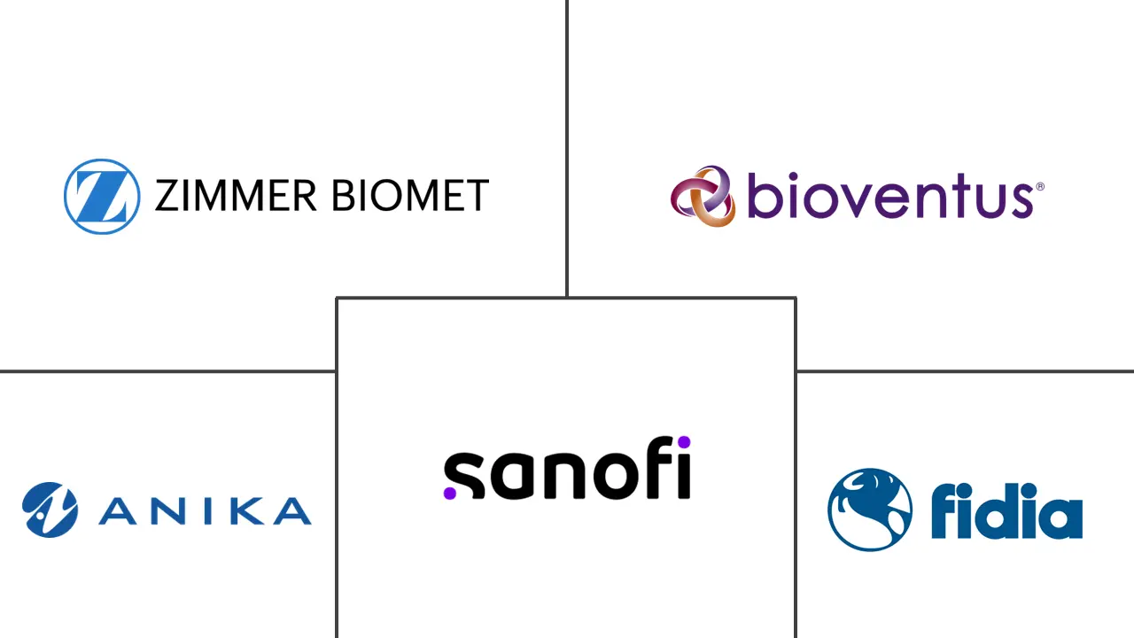 欧洲粘稠补充剂市场规模和份额