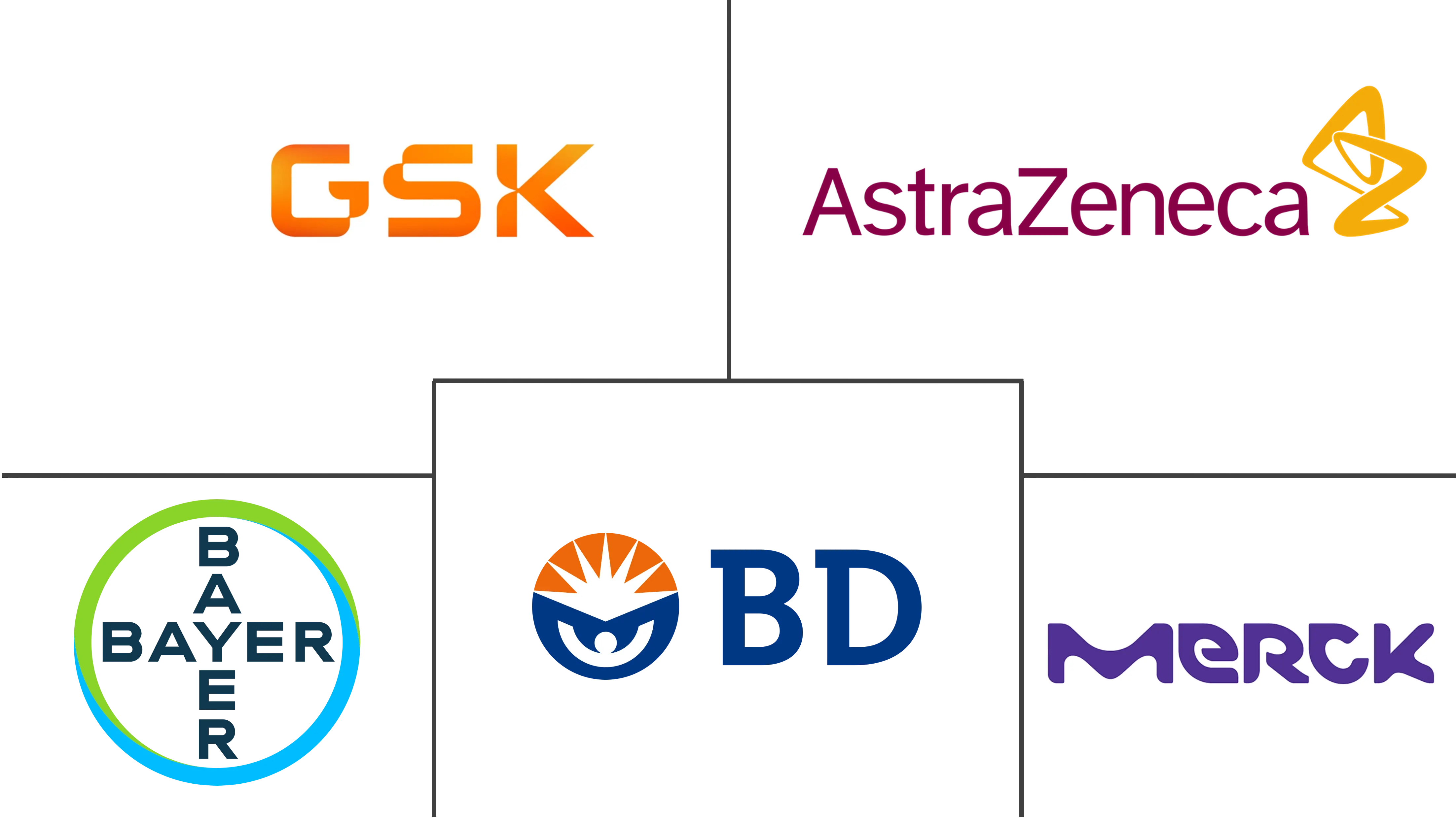 阿联酋给药装置市场规模