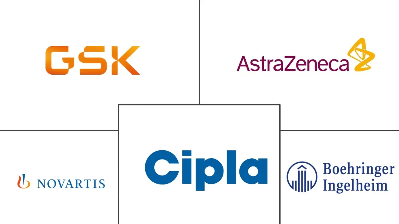 肺部给药系统市场规模和份额