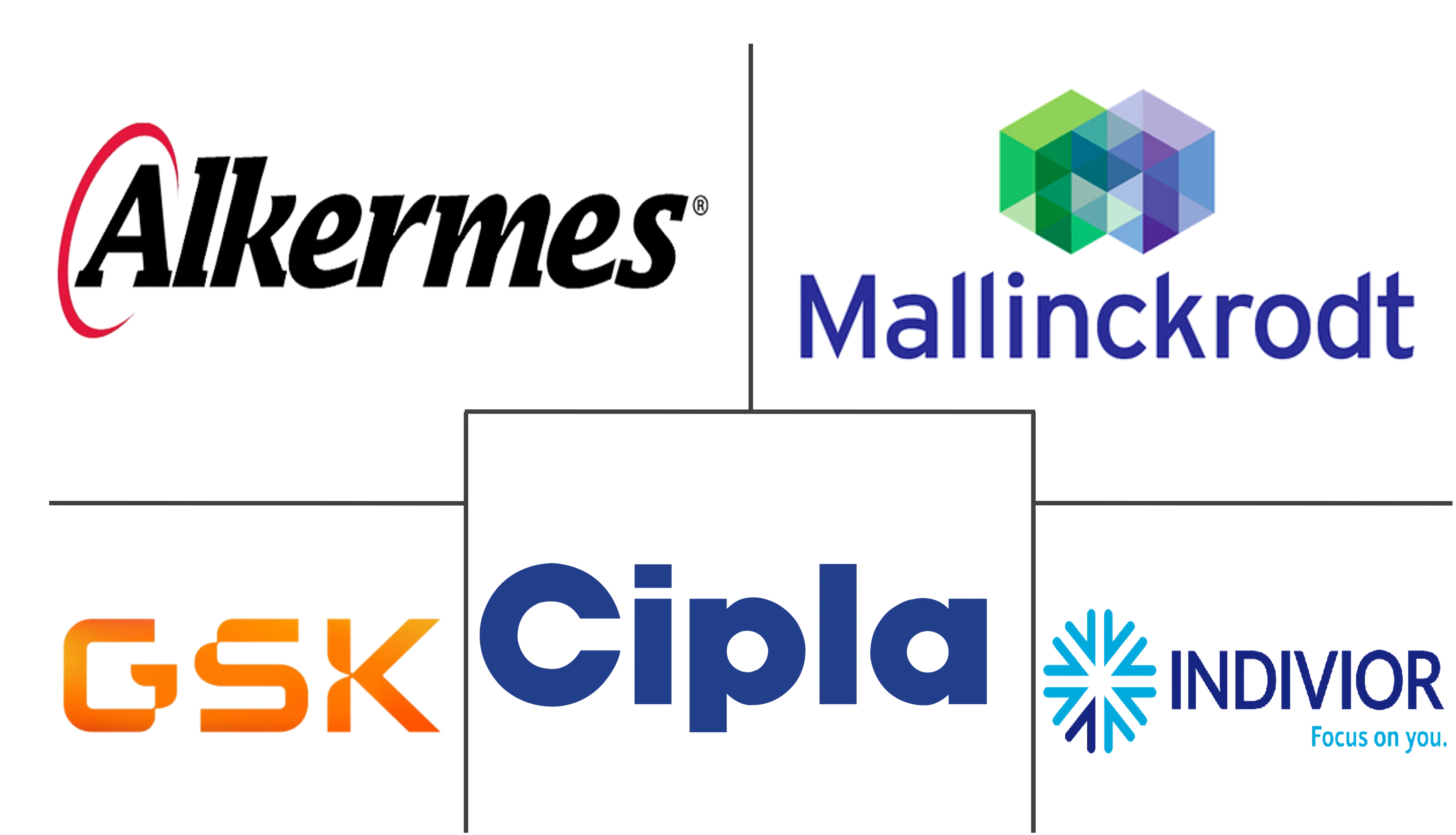 药物滥用治疗市场规模和份额