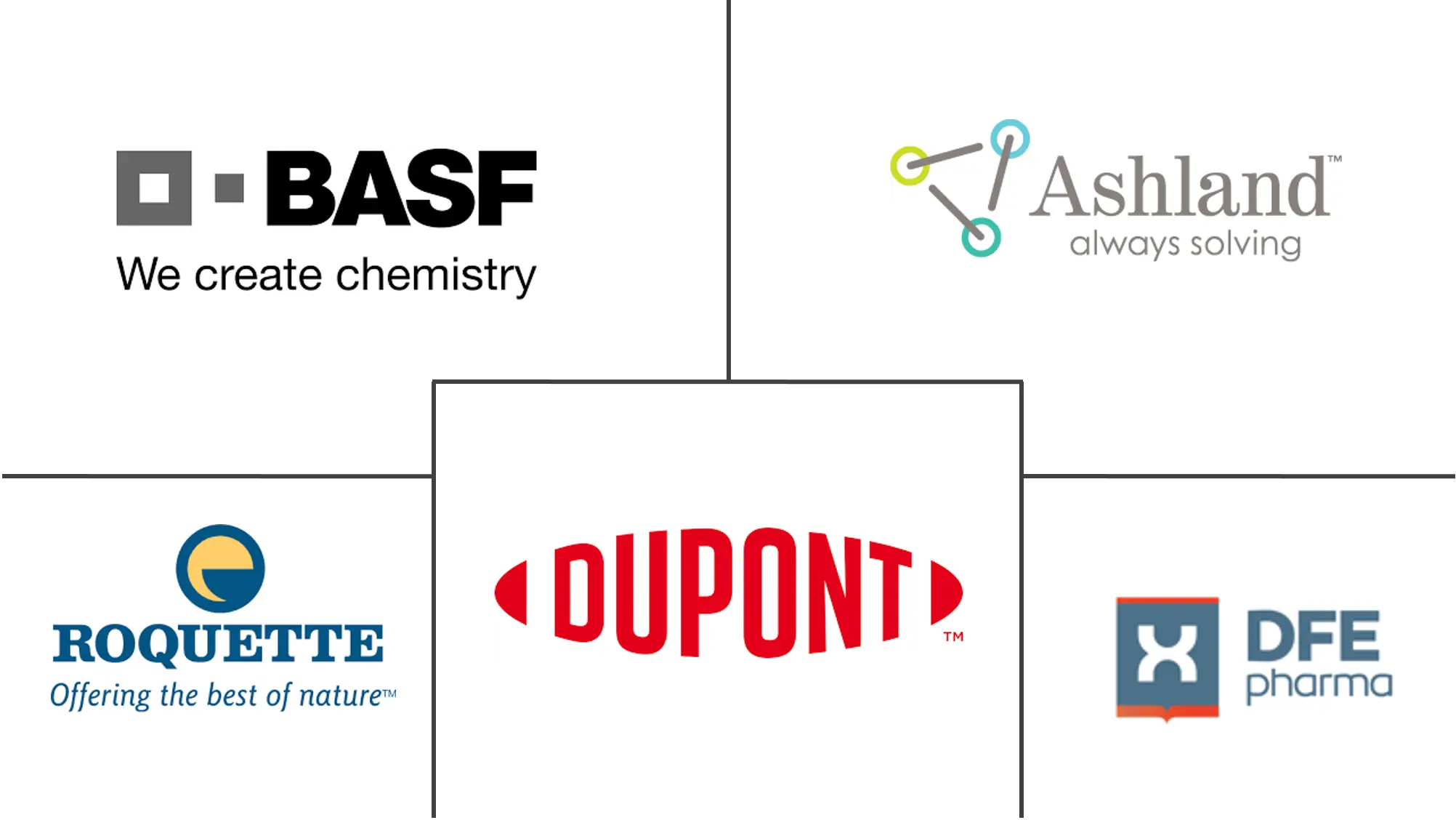 超级崩解剂市场规模和份额