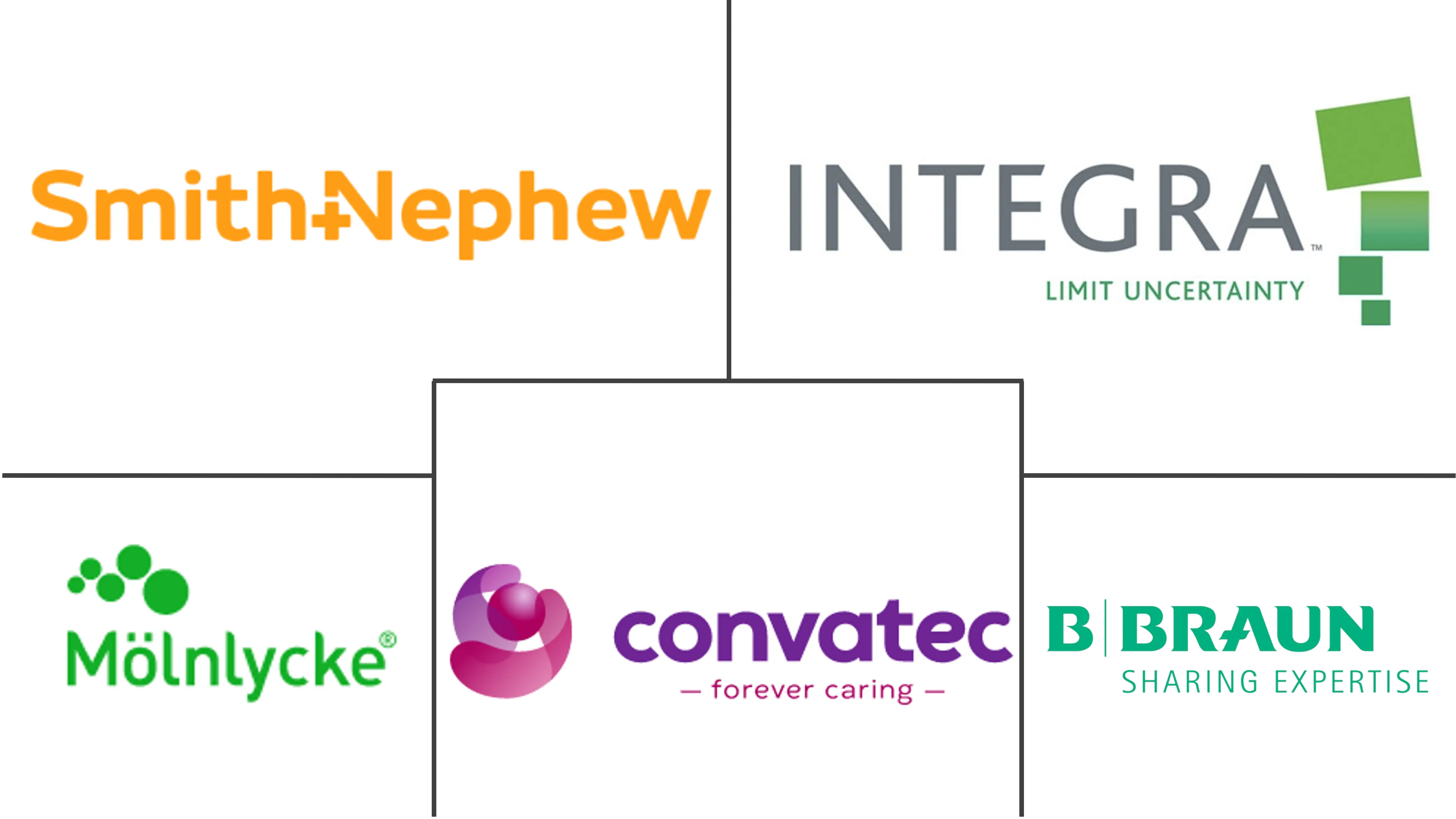 酶促伤口清创市场规模