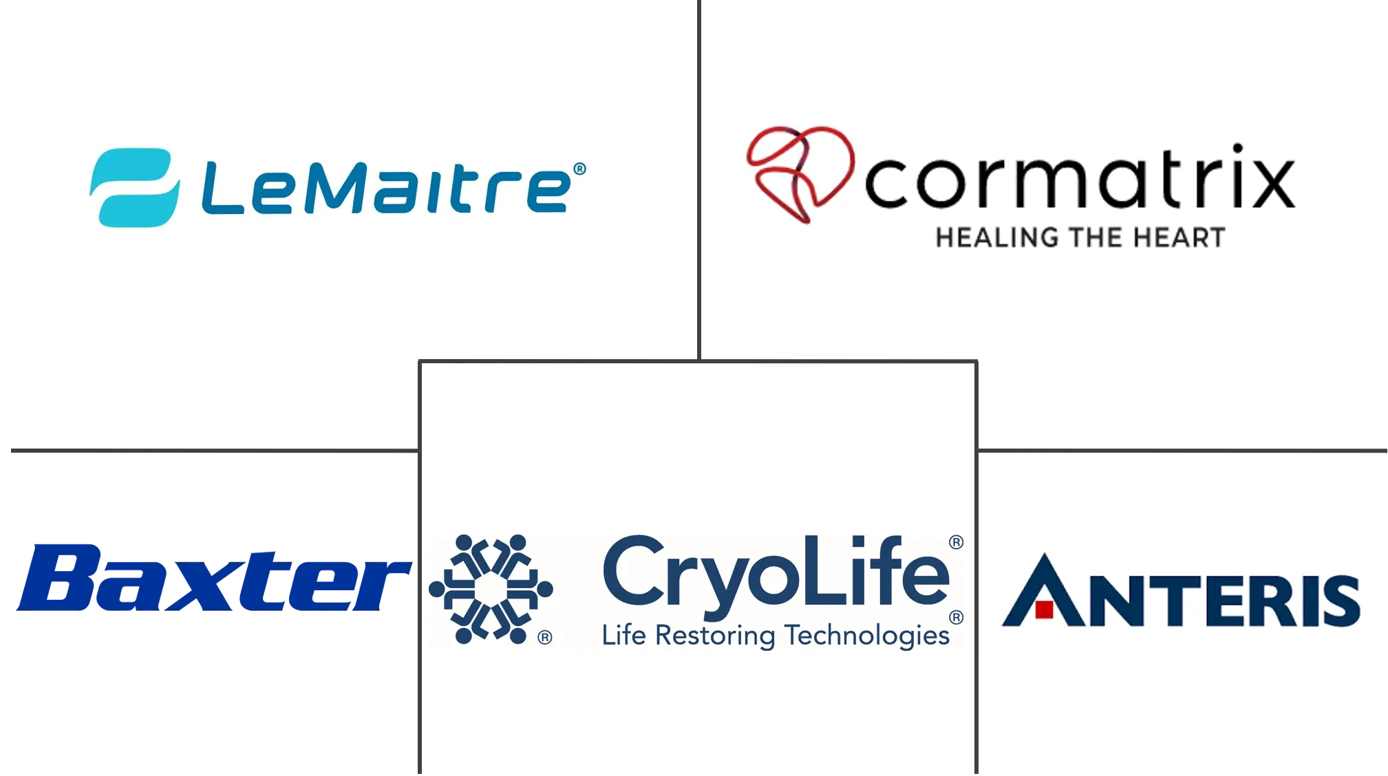 心血管和软组织修复贴片市场规模和份额