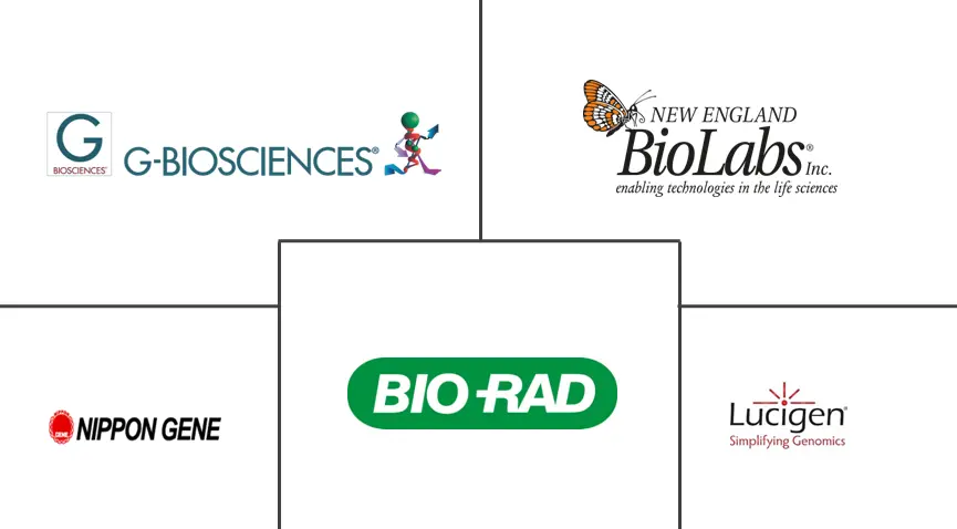 绞线位移放大市场规模