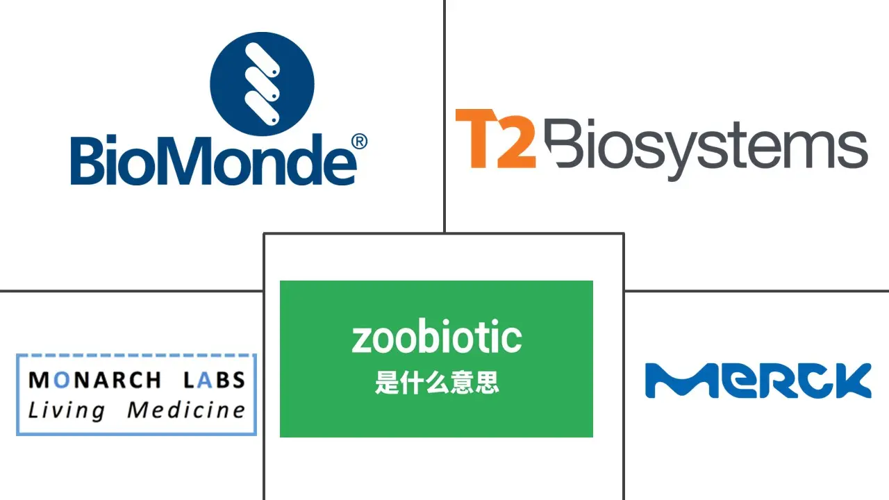 医疗保健专利申请外包市场规模和份额