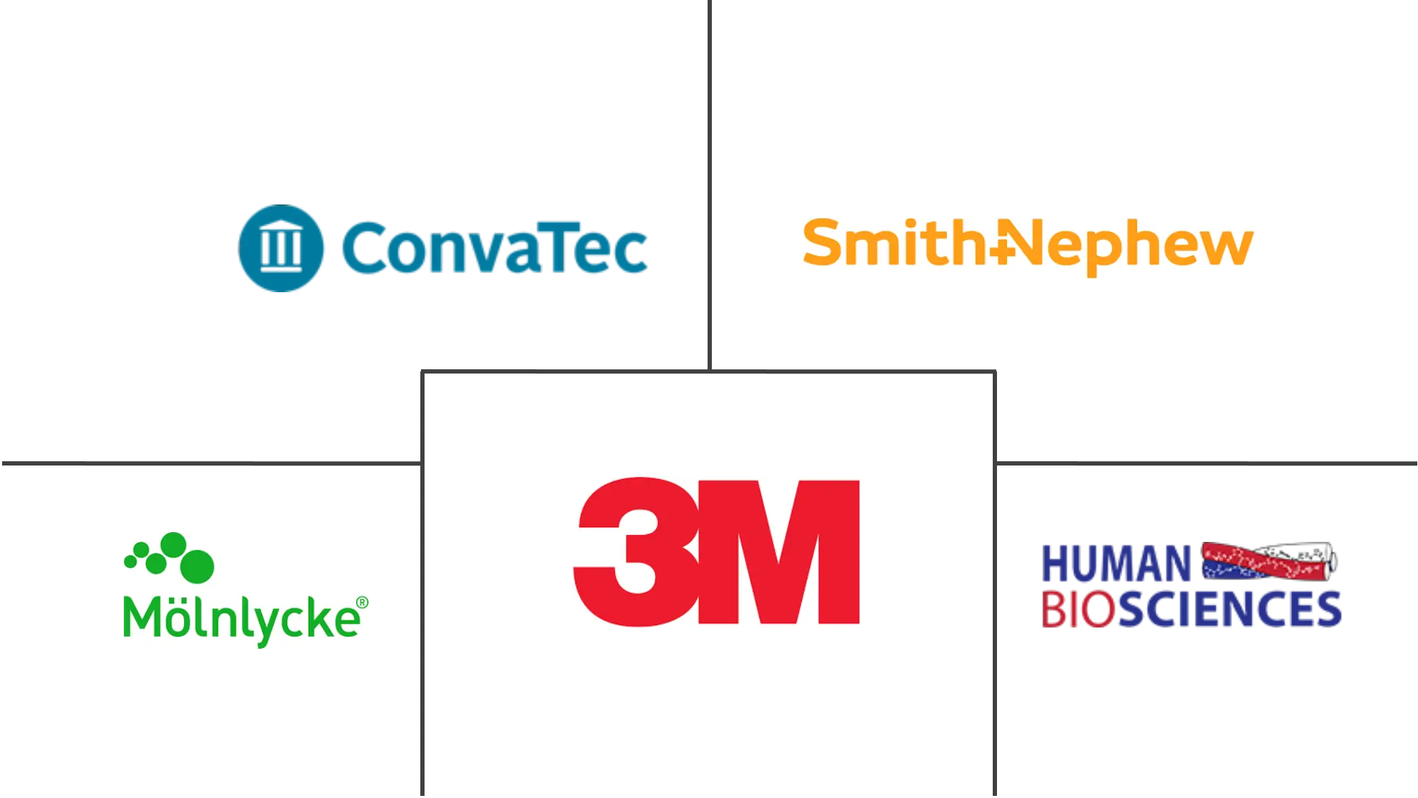 基于贴片的伤口愈合市场规模