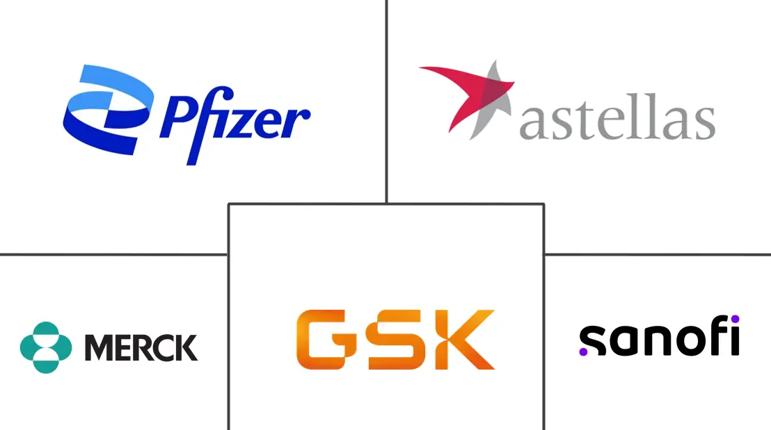 霍乱疫苗市场规模和份额