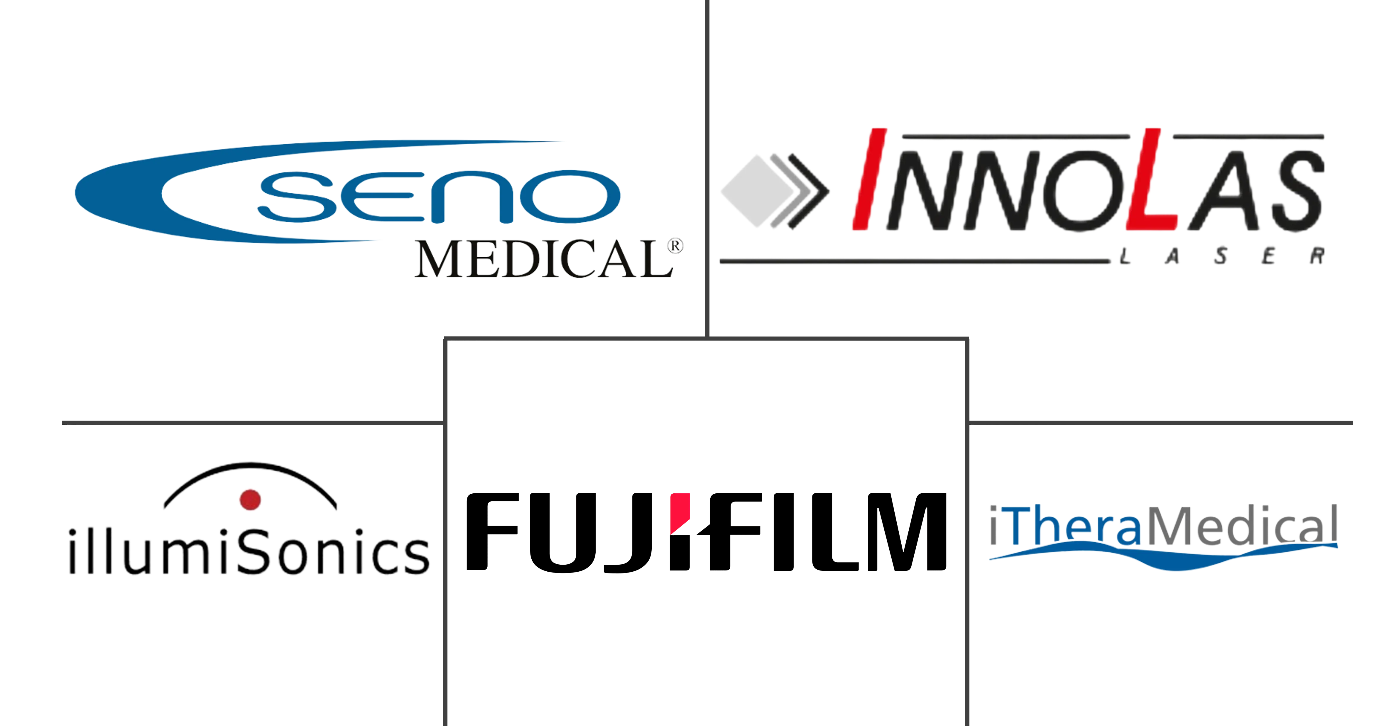 光声成像市场规模和份额