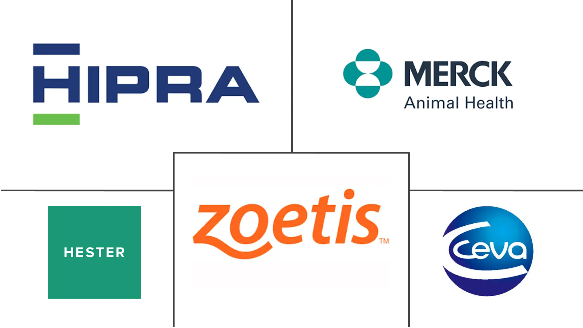 头孢噻呋市场规模