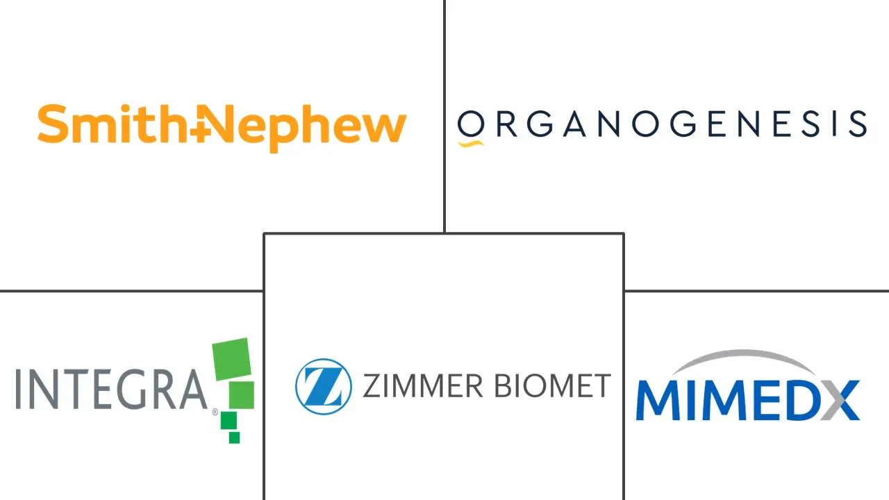 生物皮肤替代品市场规模和份额