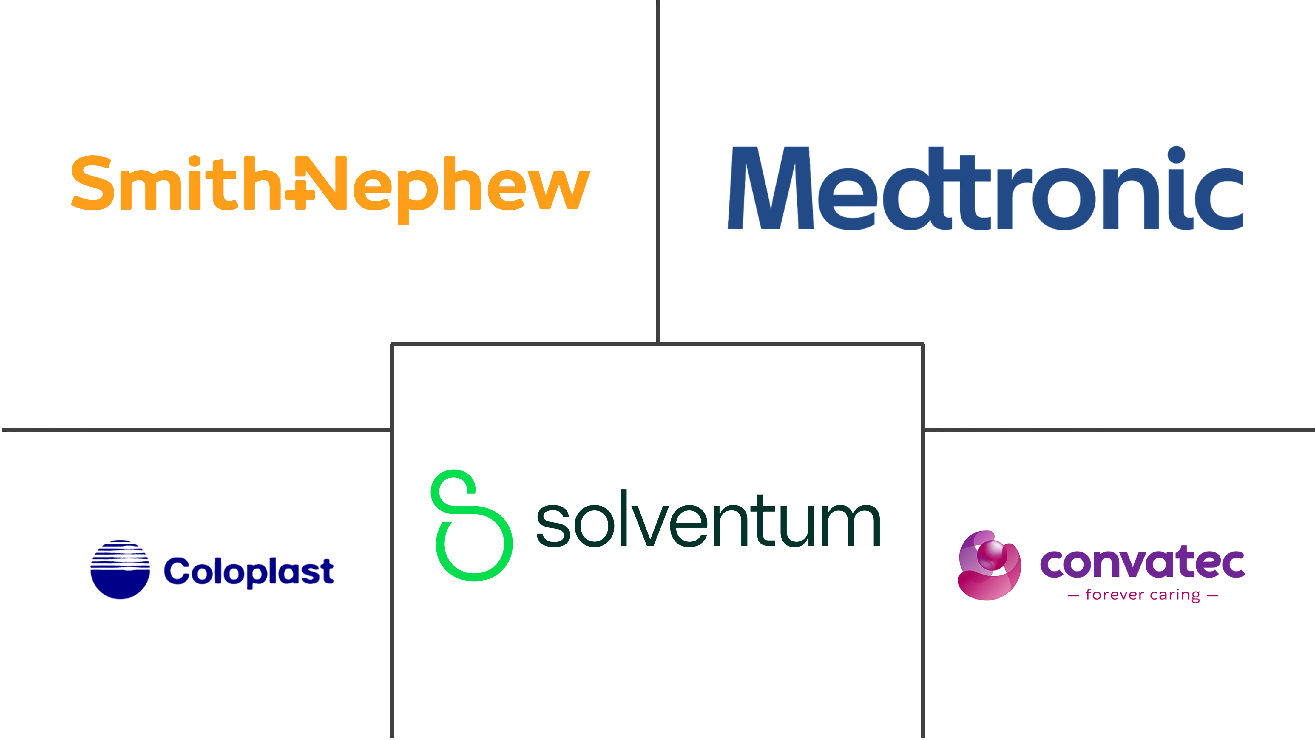 阿联酋伤口护理管理市场规模和份额
