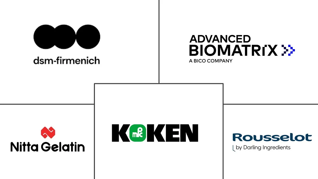 去端肽胶原蛋白市场规模和份额