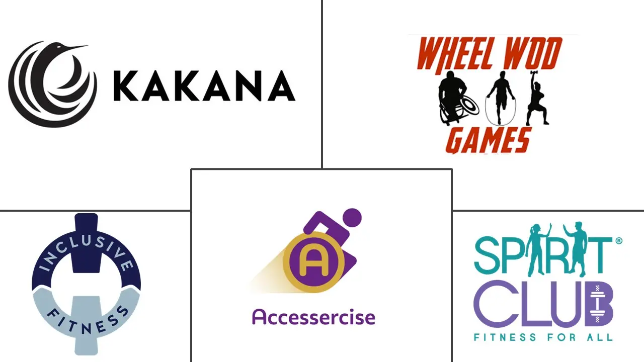 残疾人健身平台市场规模及份额