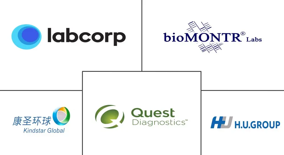 深奥测试市场规模和份额