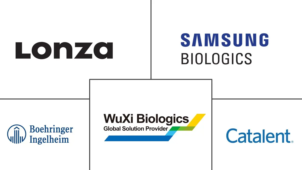 抗体合同制造市场规模和份额