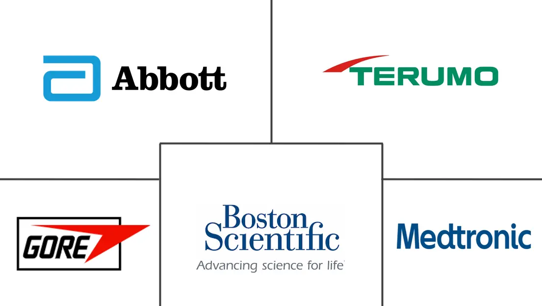 印度心血管设备市场规模和份额分析