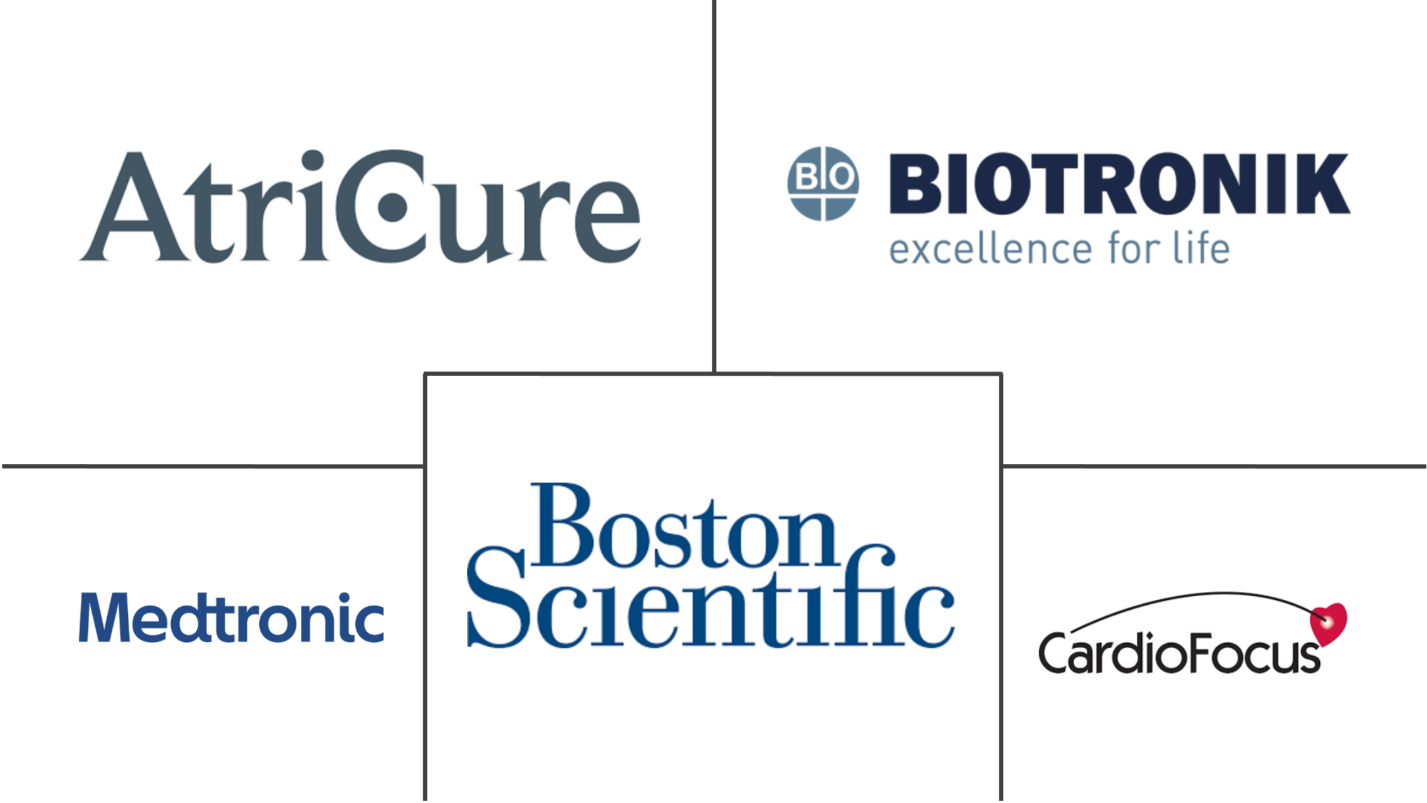 全球心房颤动手术市场规模及份额