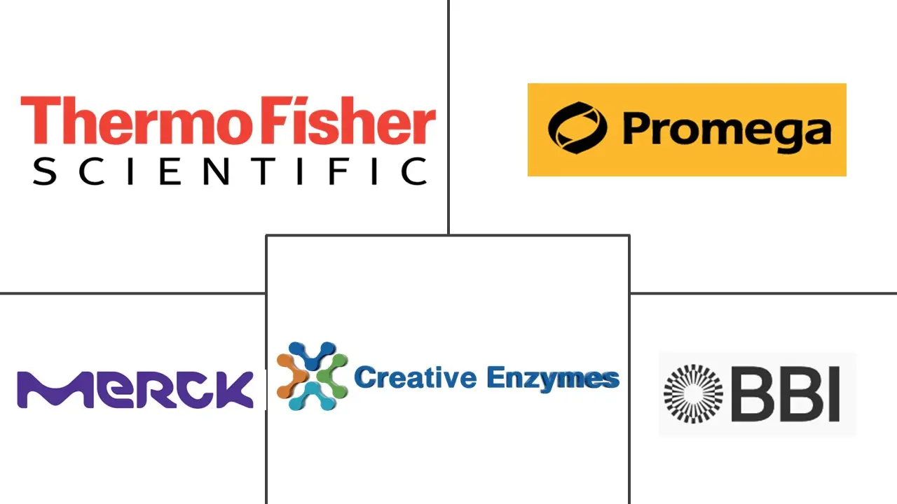 辣根过氧化物酶市场规模和份额