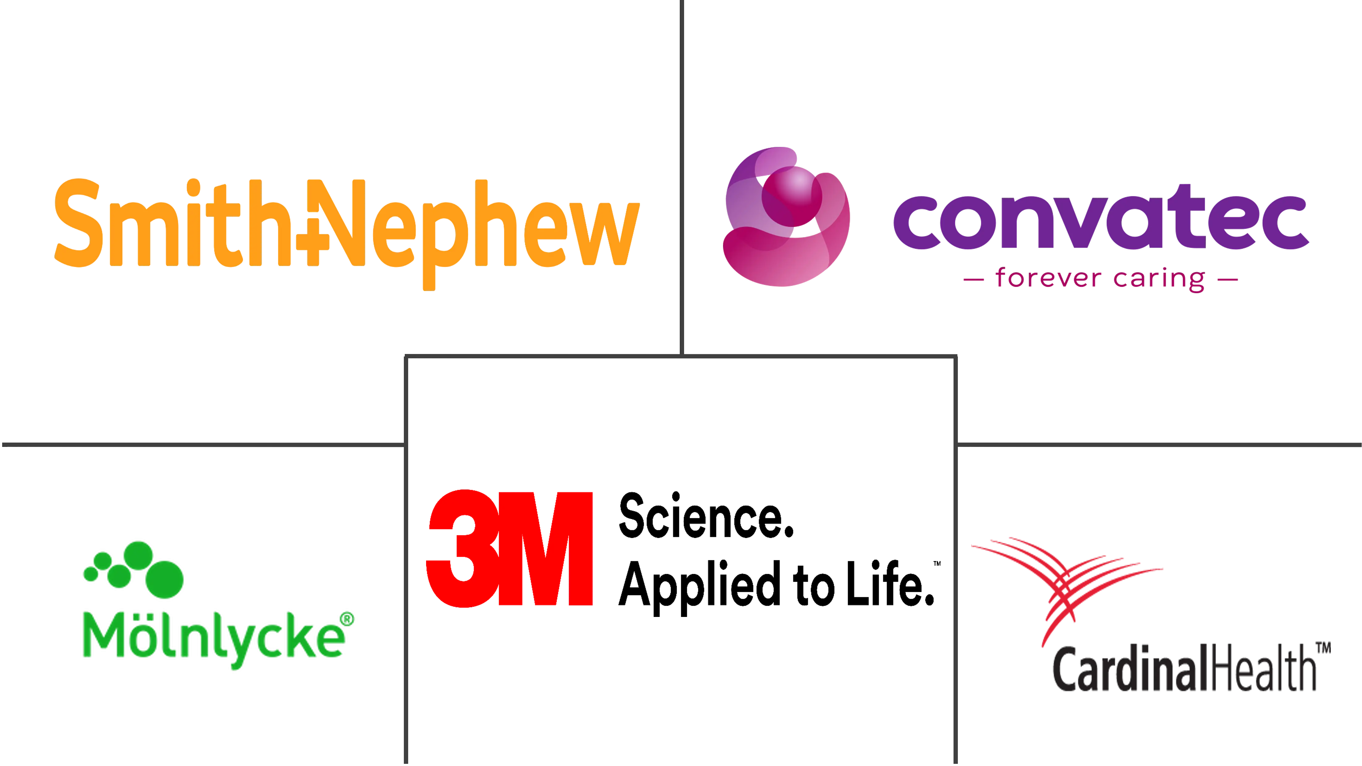 欧洲负压伤口治疗市场规模和份额分析