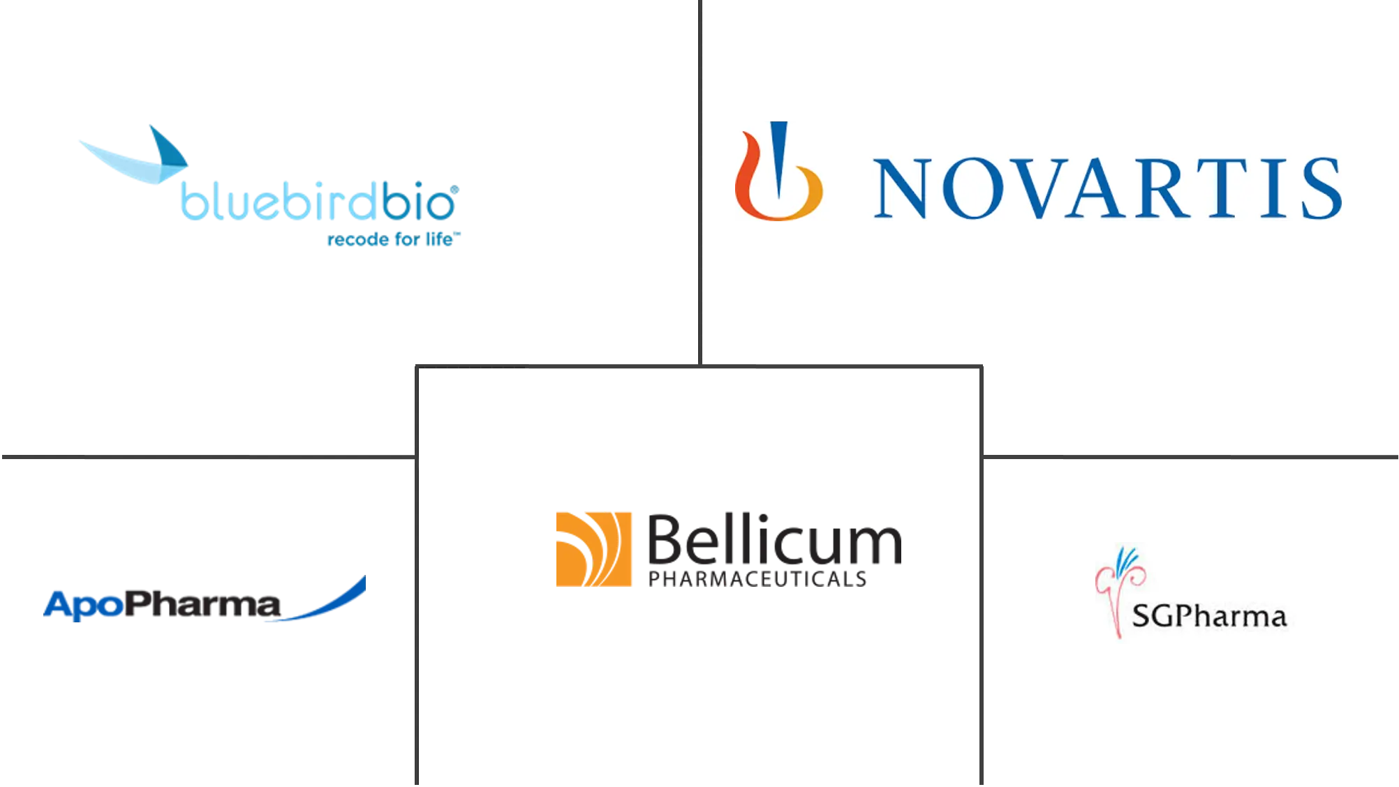 地中海贫血治疗市场规模和份额