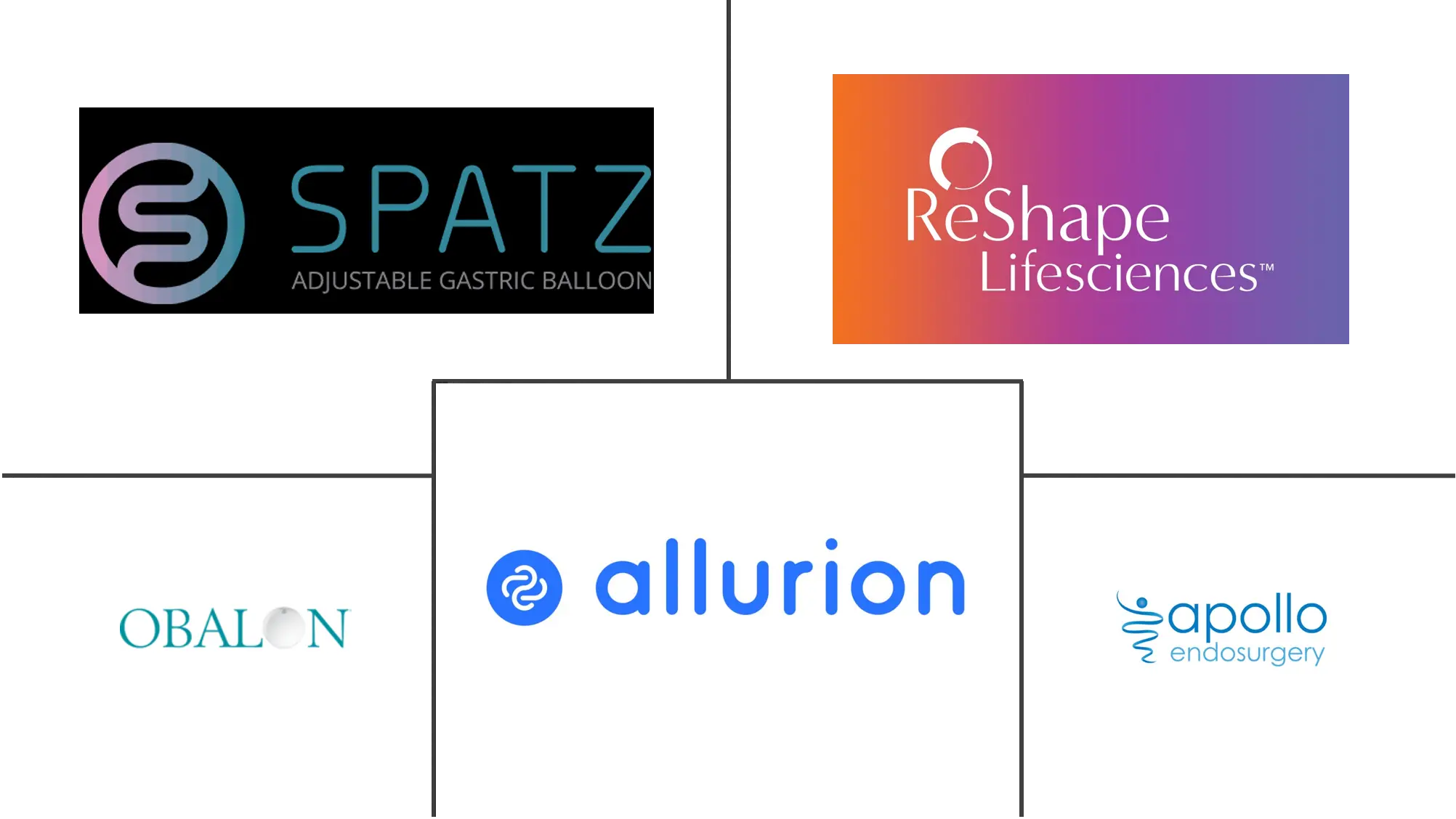 胃内气球市场规模