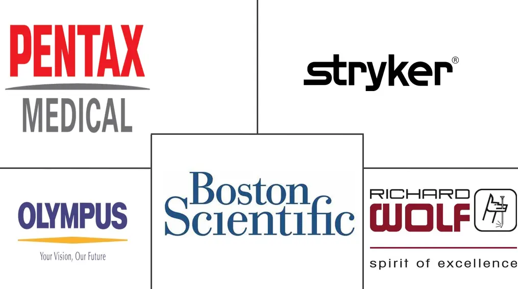 输尿管镜市场规模和份额