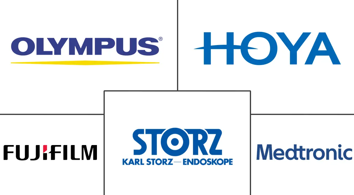 韩国内窥镜设备市场规模和份额分析