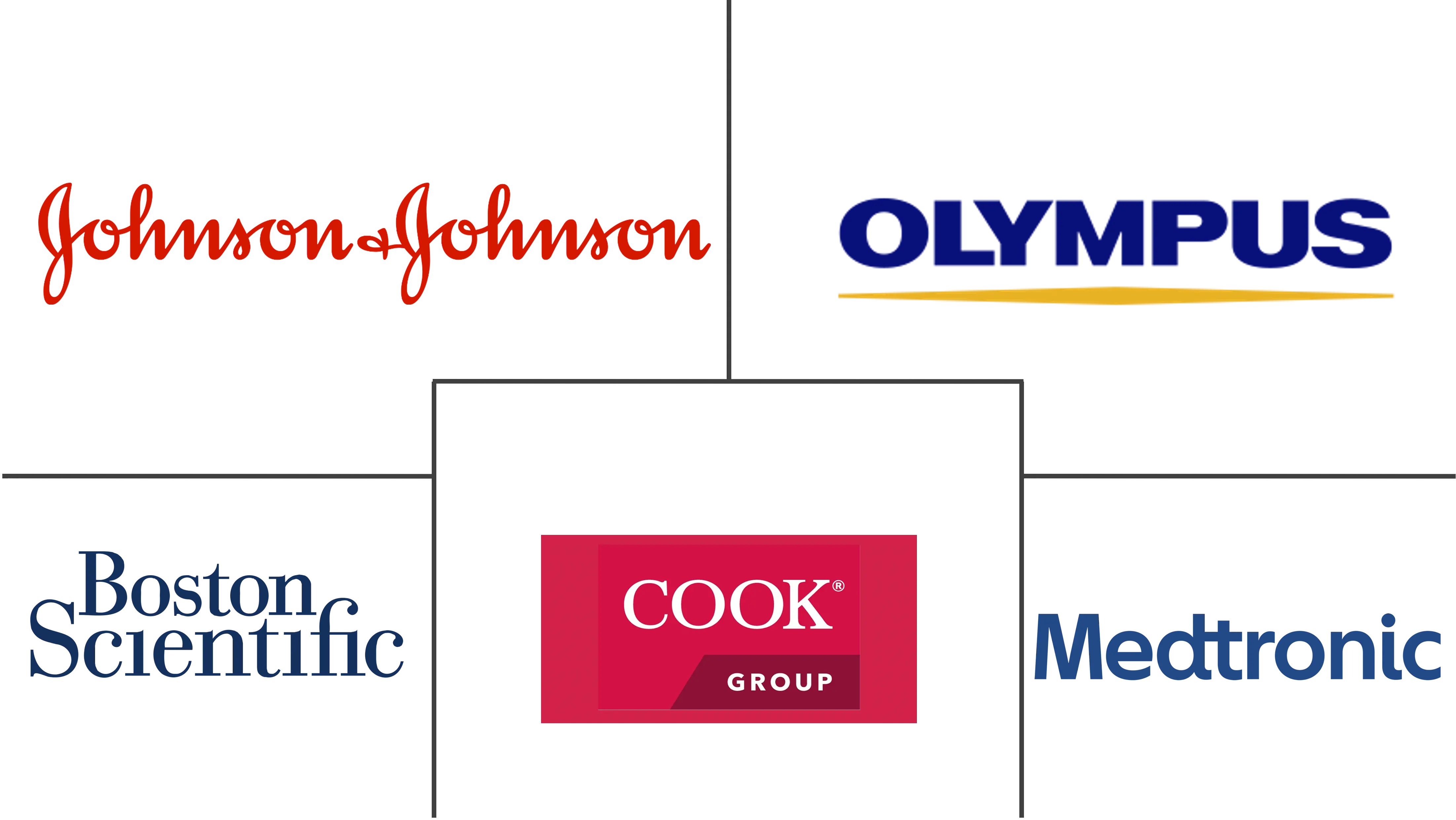 西班牙内窥镜设备市场规模和份额