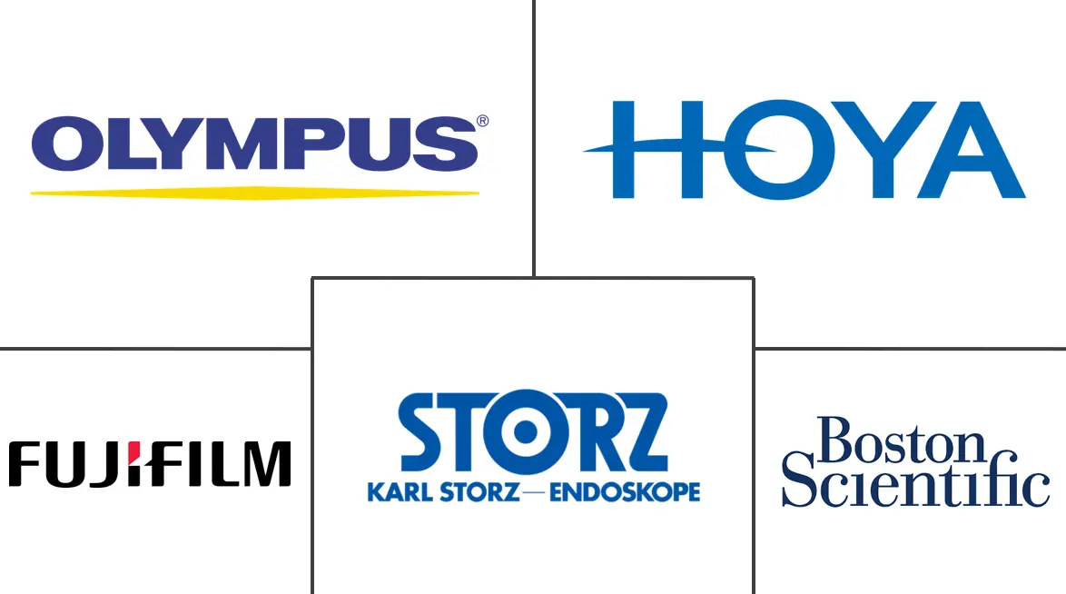 南非内窥镜设备市场规模和份额分析