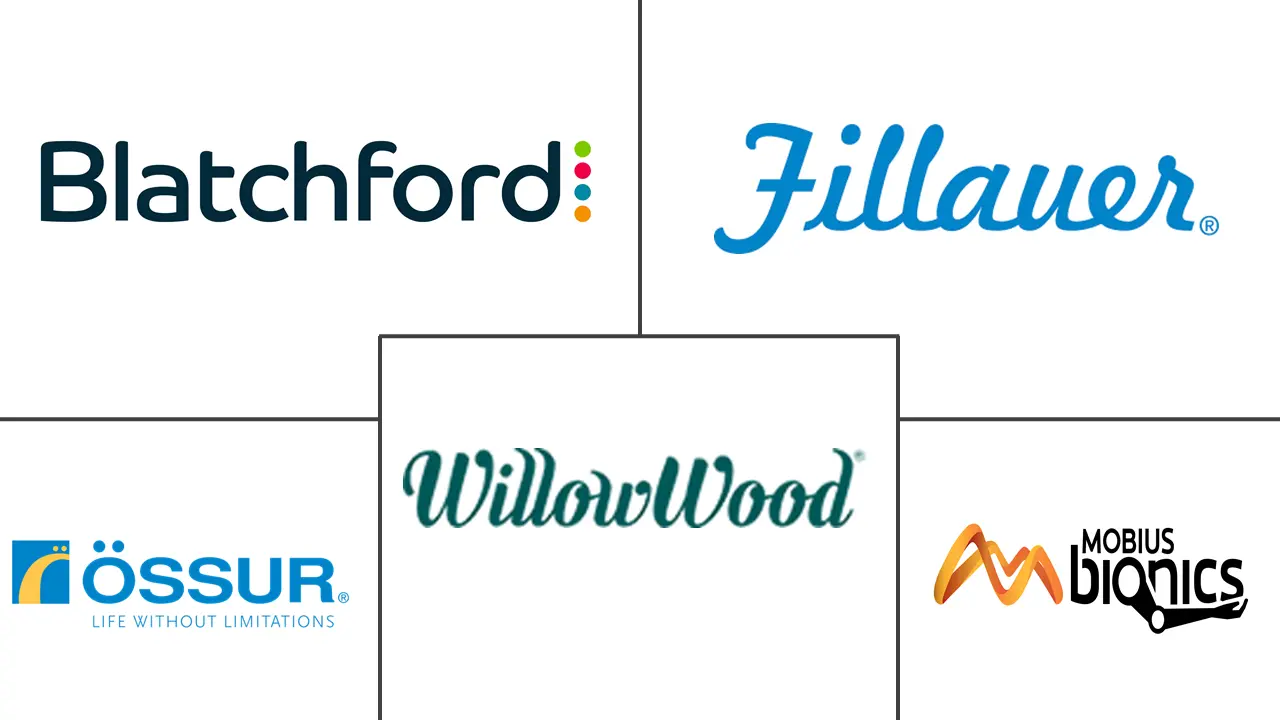 矫形假肢市场规模和份额