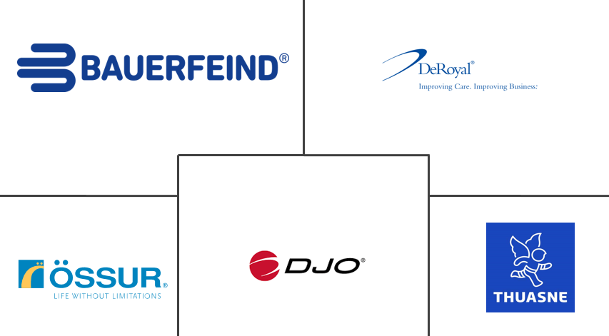 韧带稳定器市场规模