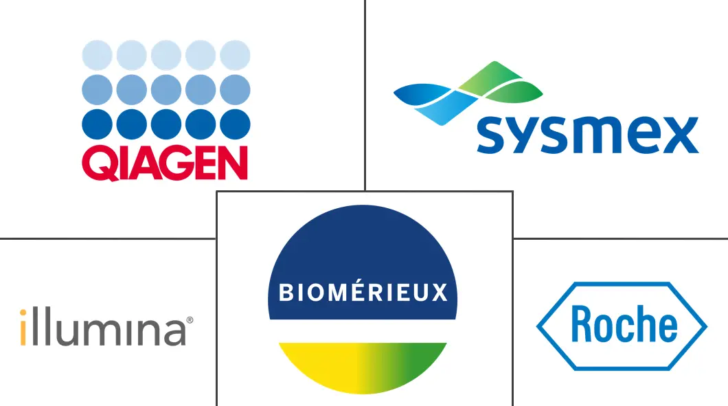 欧洲体外诊断市场规模和份额
