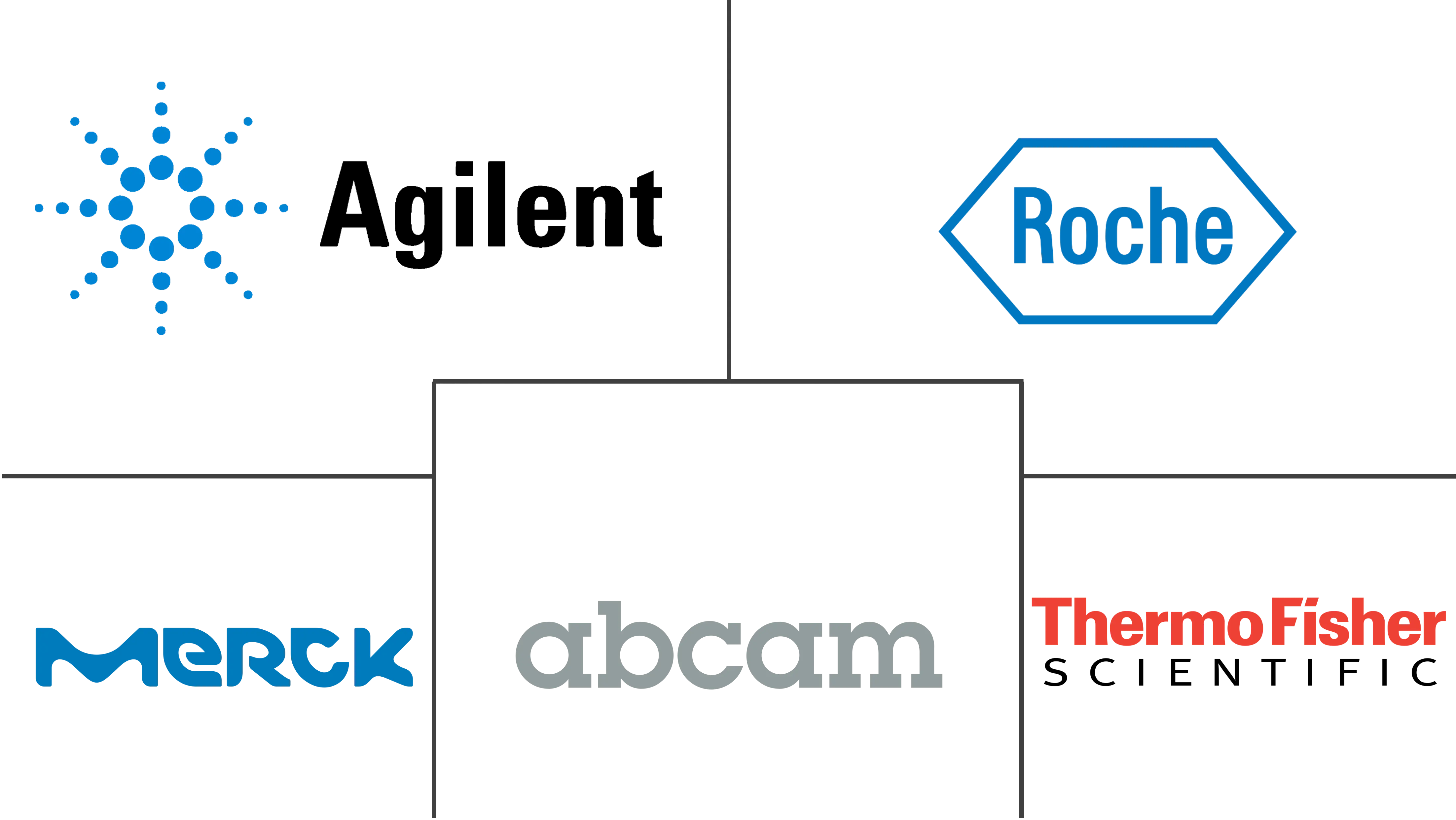 免疫组织化学市场规模和份额
