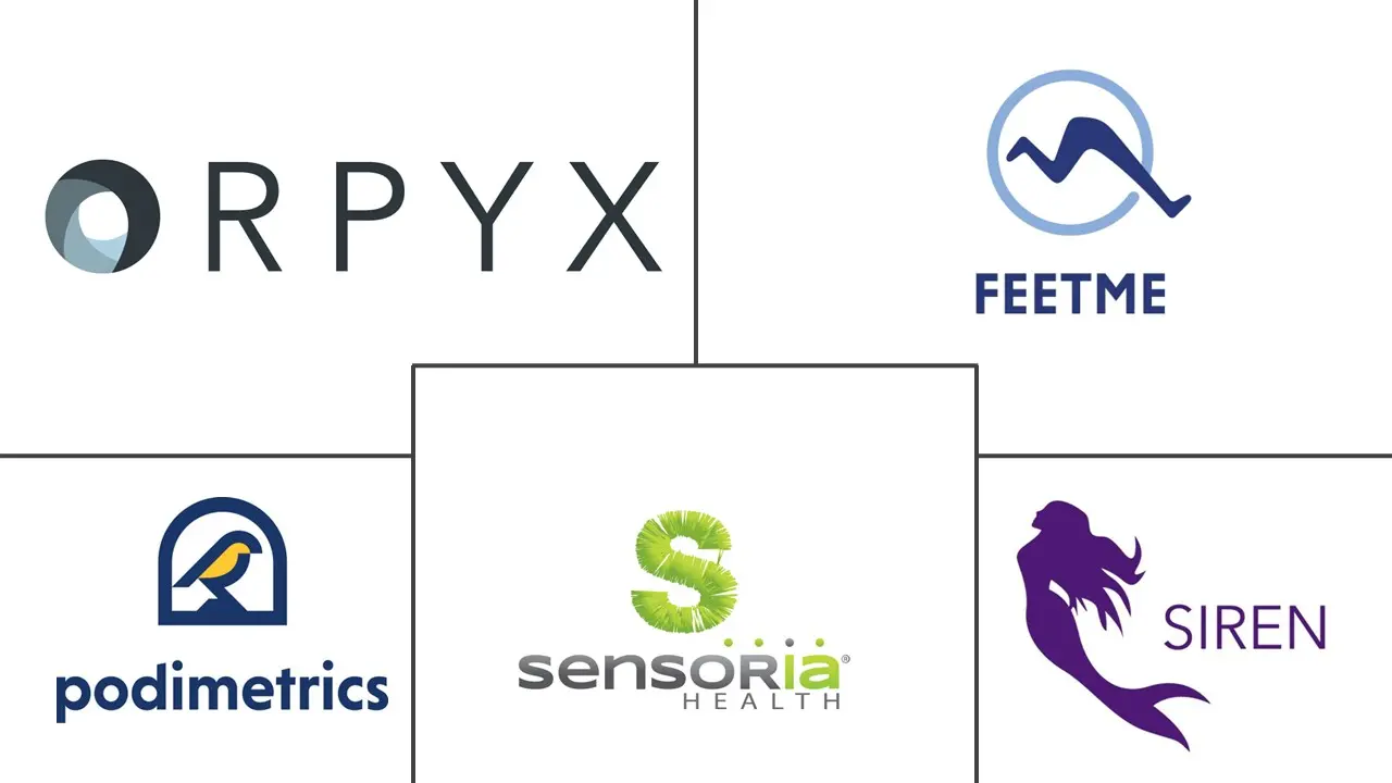 足部溃疡传感器市场规模和份额