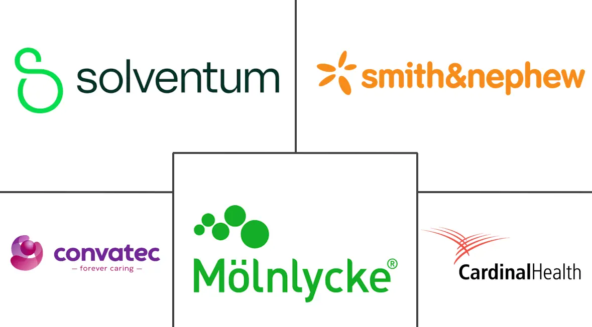 皮肤撕裂治疗市场规模和份额