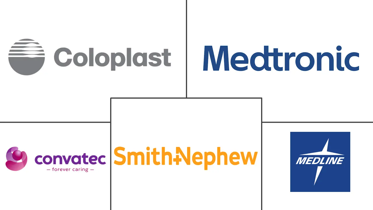 急性伤口护理市场规模和份额