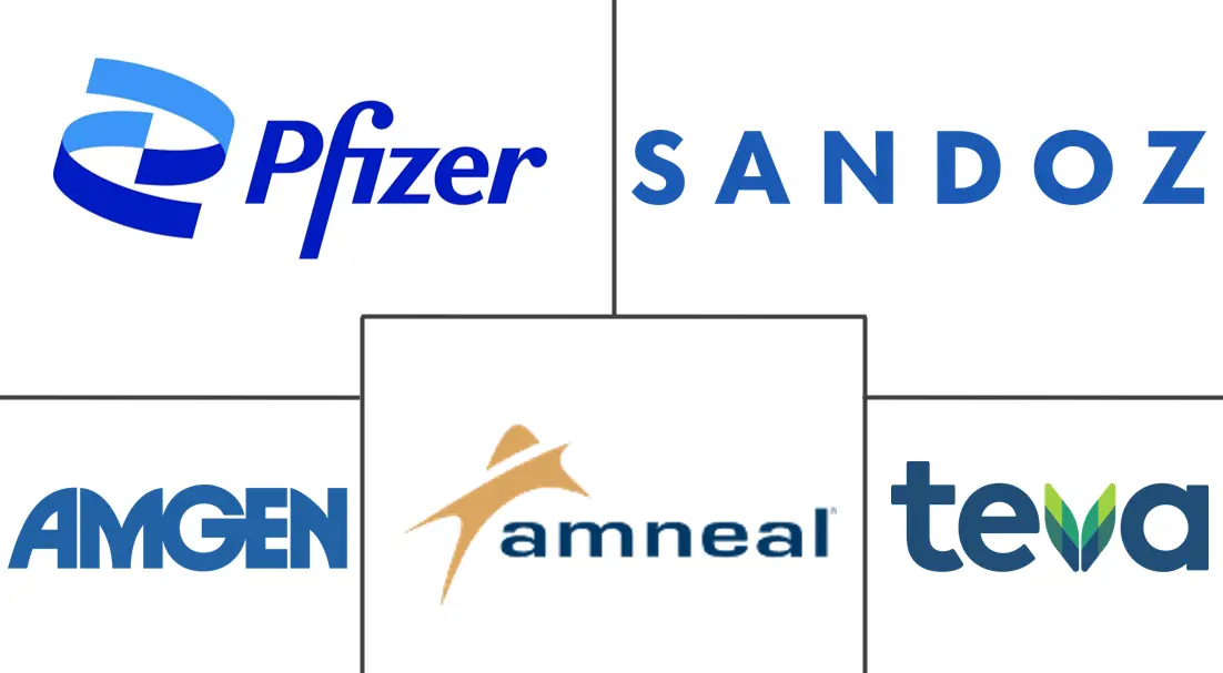 非格司亭市场规模